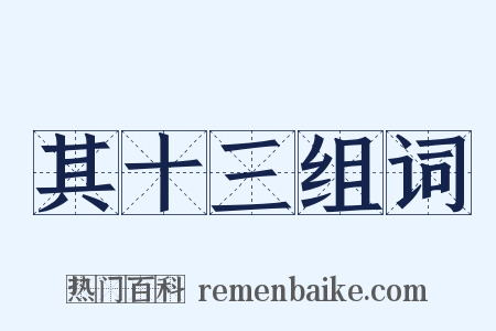 其十三组词是什么意思的图片